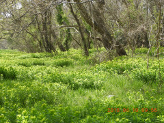 DSCN1062.JPG