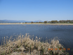 DSCN1148.JPG