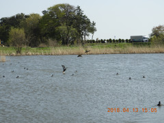 DSCN1127.JPG