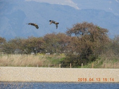 DSCN1134.JPG