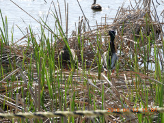DSCN1123.JPG