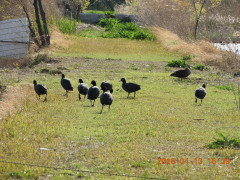 DSCN1150.JPG