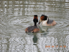 DSCN1194.JPG