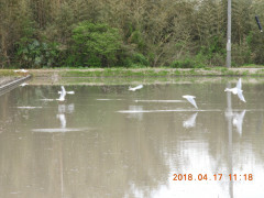 DSCN1204.JPG
