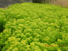 DSCN1207.JPG