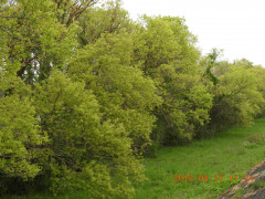 DSCN1209.JPG