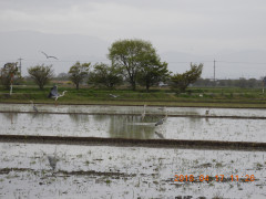 DSCN1211.JPG