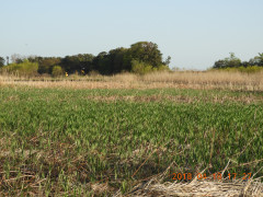 DSCN1213.JPG