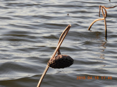 DSCN1228.JPG