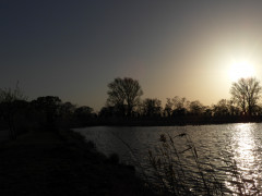 DSCN1222.JPG