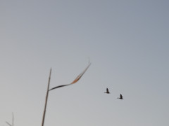DSCN1254.JPG