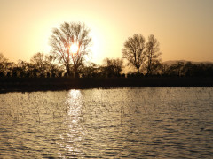 DSCN1246.JPG