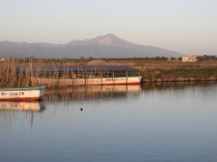 DSCN1248.JPG