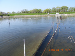 DSCN1283.JPG