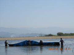 DSCN1291.JPG
