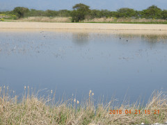 DSCN1304.JPG