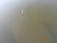DSCN1315.JPG