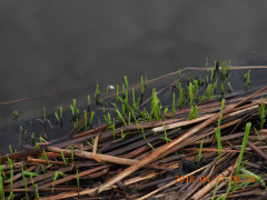 DSCN9994.JPG