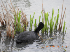DSCN0039.JPG