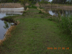 DSCN9997.JPG