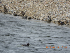 DSCN0014.JPG