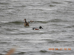 DSCN0034.JPG