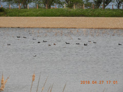 DSCN0036.JPG