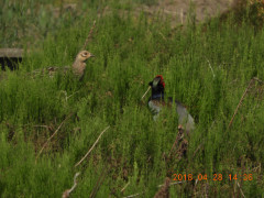 DSCN0137.JPG