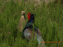 DSCN0148.JPG