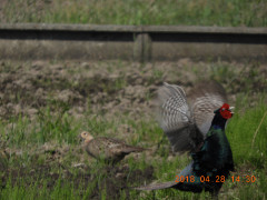 DSCN0123.JPG