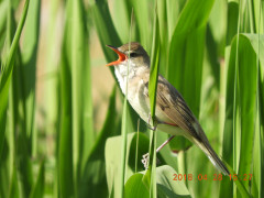 DSCN0243.JPG