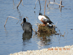 DSCN0248.JPG