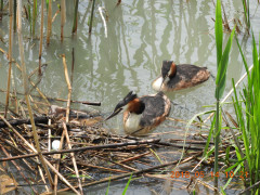 DSCN5717.JPG