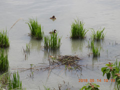 DSCN5714.JPG