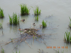 DSCN5735.JPG