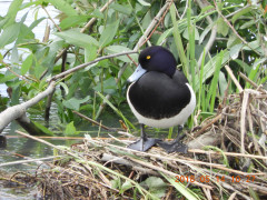 DSCN5724.JPG