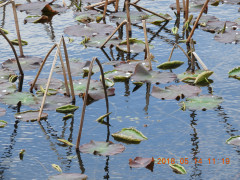 DSCN5743.JPG