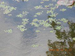 DSCN5748.JPG