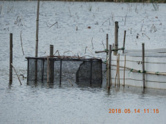 DSCN5740.JPG