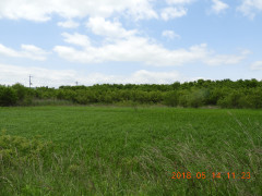 DSCN5750.JPG