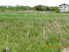 DSCN5751.JPG