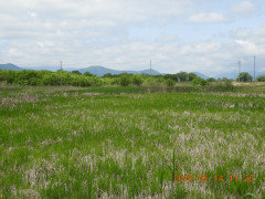 DSCN5753.JPG
