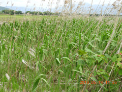 DSCN5754.JPG
