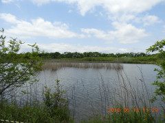 DSCN5755.JPG
