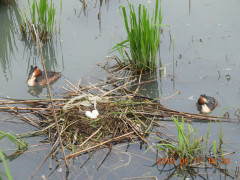 DSCN5787.JPG