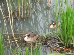 DSCN5786.JPG