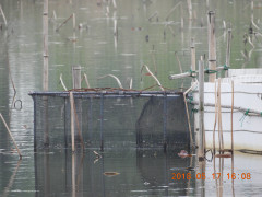 DSCN5771.JPG