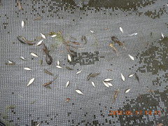 DSCN5773.JPG
