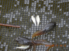 DSCN5776.JPG