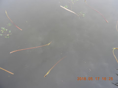DSCN5779.JPG